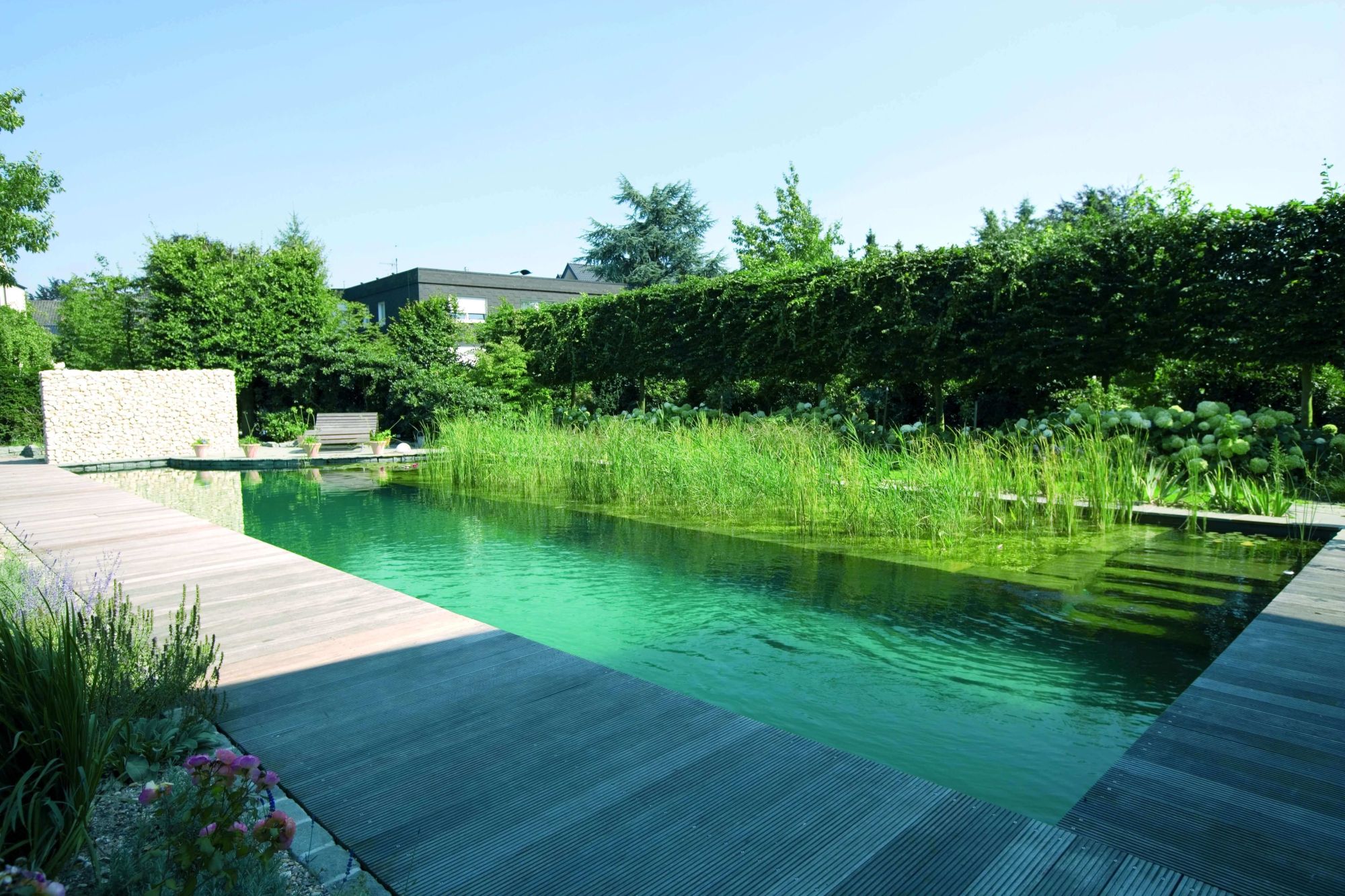 Naturpool mit Holzsteg und Regenerationszone in einem Achinger-Garten